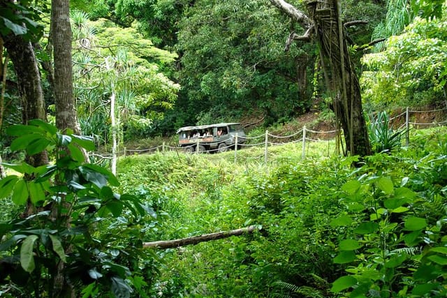 kualoa-ranch-jungle-expedition-tour_1